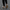 Handmade Women Barefoot Gold Ballet Flats