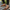 Handmade Women Barefoot Brown Ballet Flats
