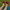 Handmade Women Barefoot Burgundy Ballet Flats