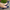 Handmade Women Barefoot Navy Blue Ballet Flats