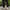 Women Barefoot Nubuck Gray Penny Loafers