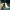 Handmade Women Barefoot Light Brown Ballet Flats
