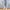 Women Barefoot Beige Cross Ballet Flats