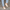 Women Barefoot Beige Cross Ballet Flats