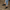 Women Barefoot Black Sneakers