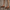 Women Barefoot Coffee Brown Boat Shoes