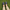 Women Barefoot Dark Blue Slip On Shoes