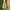 Women Barefoot Dark Green Slip On Shoes