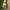 Women Barefoot Dark Green Slip On Shoes