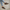 Women Earthing Gray Nubuck Sneakers