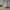 Women Earthing Gray Nubuck Sneakers