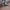 Women Barefoot Green Boat Shoes