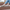 Women Barefoot Light Brown Boat Shoes
