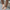 Women Barefoot Light Brown Cross Ballet Flats