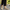 Women Barefoot Light Brown Penny Loafers