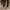 Women Barefoot Matte Brown Loafers