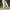 Women Barefoot Matte Brown Oxford Shoes