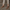 Women Barefoot Matte Brown Sneakers