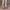 Women Barefoot Navy Blue Cross Ballet Flats
