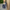 Women Barefoot Navy Blue Oxford Shoes
