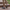 Women Barefoot Nubuck Gray Boat Shoes