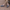 Women Barefoot Nubuck Gray Boat Shoes