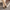 Women Barefoot Olive Green Slip On Shoes