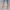 Women Barefoot Pink Sneakers