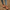 Women Barefoot Pink Sneakers
