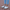Women Barefoot White Boat Shoes