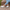 Women Barefoot White Boat Shoes