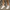 Women Barefoot White Sneakers