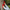 Women Nubuck Barefoot Red Slip On Shoes